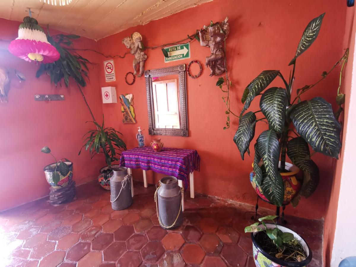 산미겔데아옌데 La Casa Del Abuelo 호스텔 외부 사진
